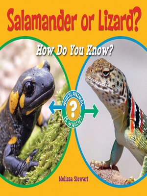 cover image of Salamander or Lizard?
